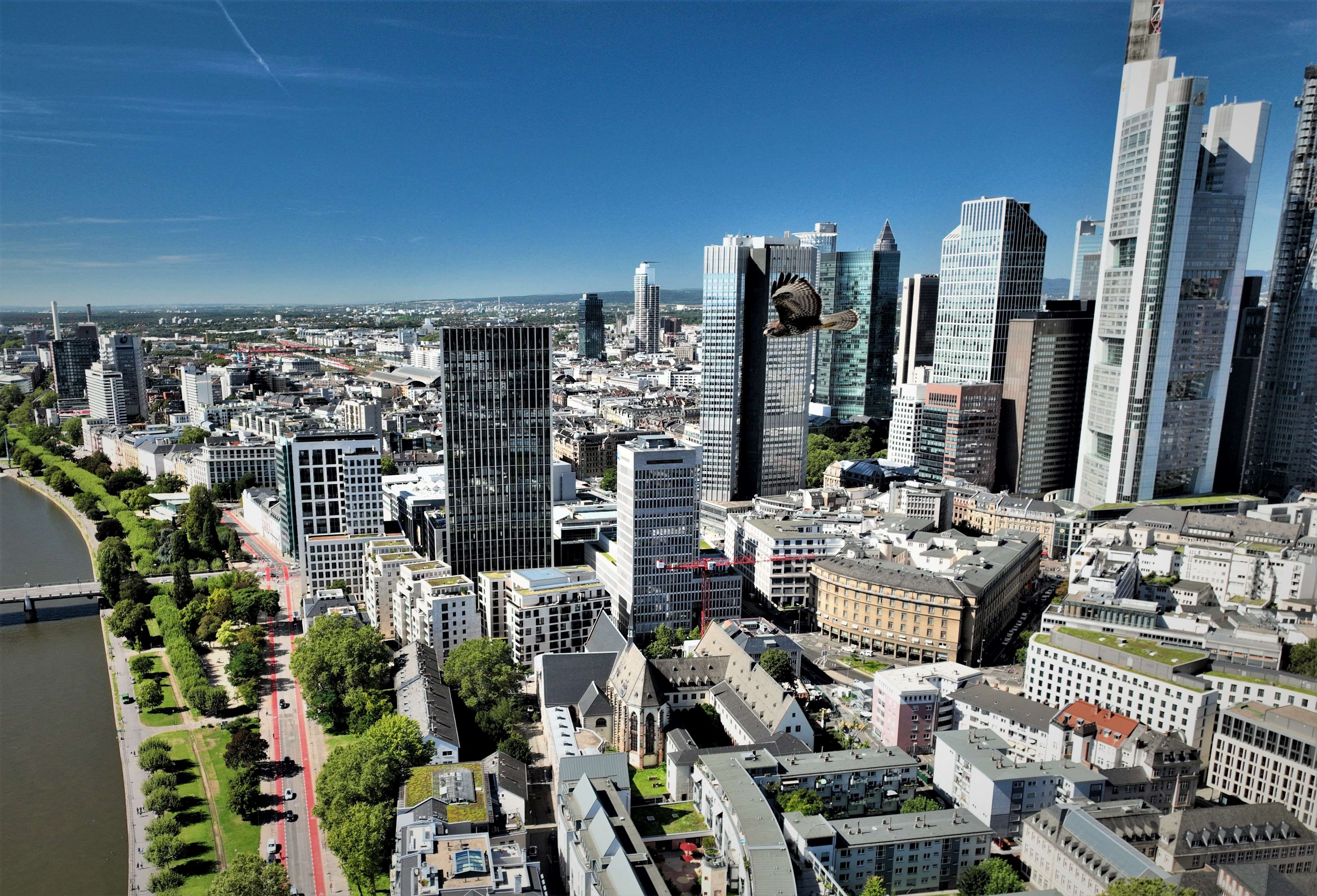 Luftbild Skyline Frankfurt am Main Adler Bussard Drohnenaufnahme Kosten