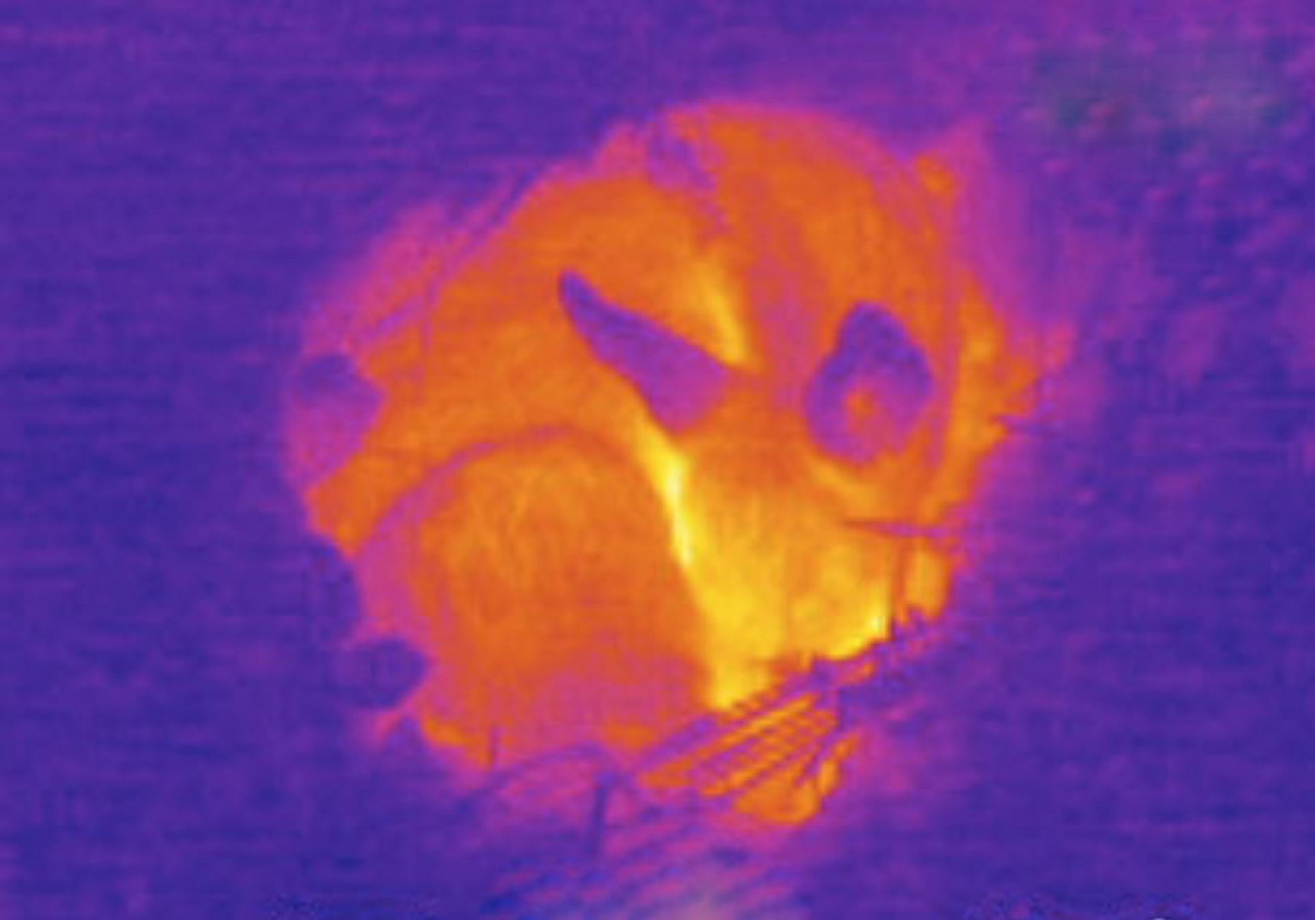 Luftbild Drohnenaufnahme Thermographie Wärmebild Inspektion